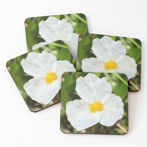 Item preview, Hidden Simplicity designed and sold by Betsy Phillips.