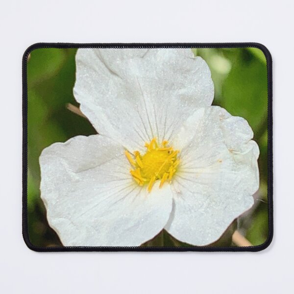Item preview, Hidden Simplicity designed and sold by Betsy Phillips.