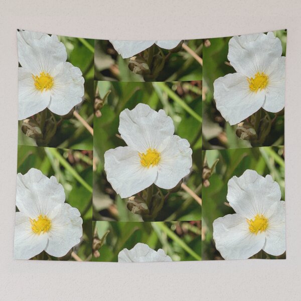Item preview, Hidden Simplicity designed and sold by Betsy Phillips.