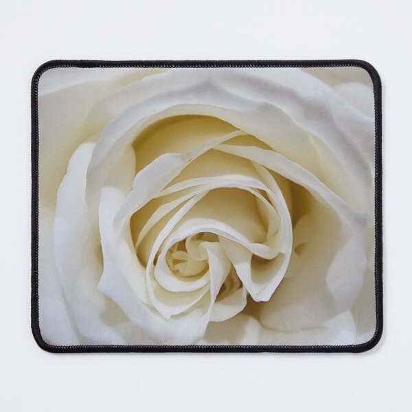 Item preview, White rose closeup designed and sold by ThatsAnna.