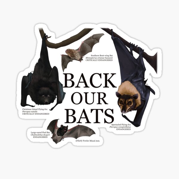 Item preview, Back Our Bats: Assorted bats 1 designed and sold by KarlyFMixedArts.