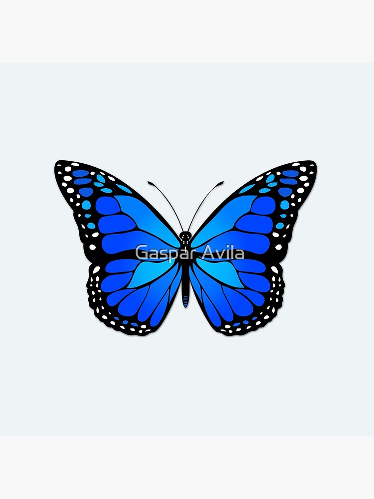Blue butterfly by gavila