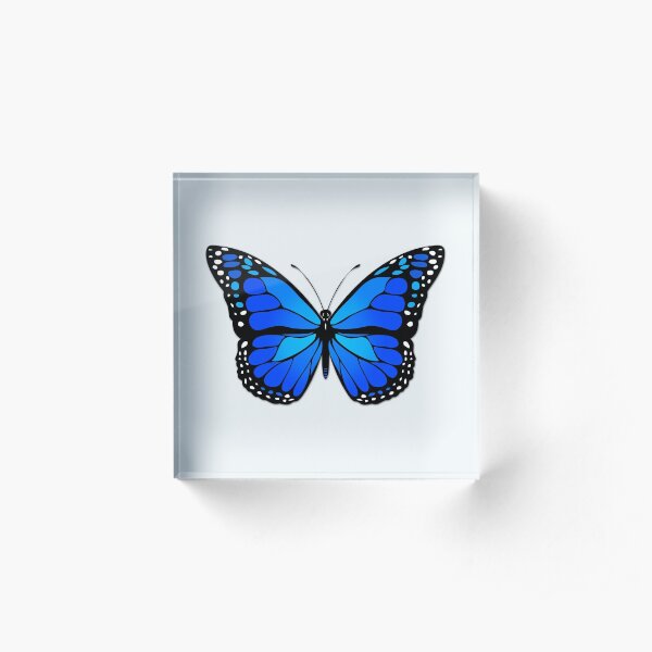 Blue butterfly Acrylic Block