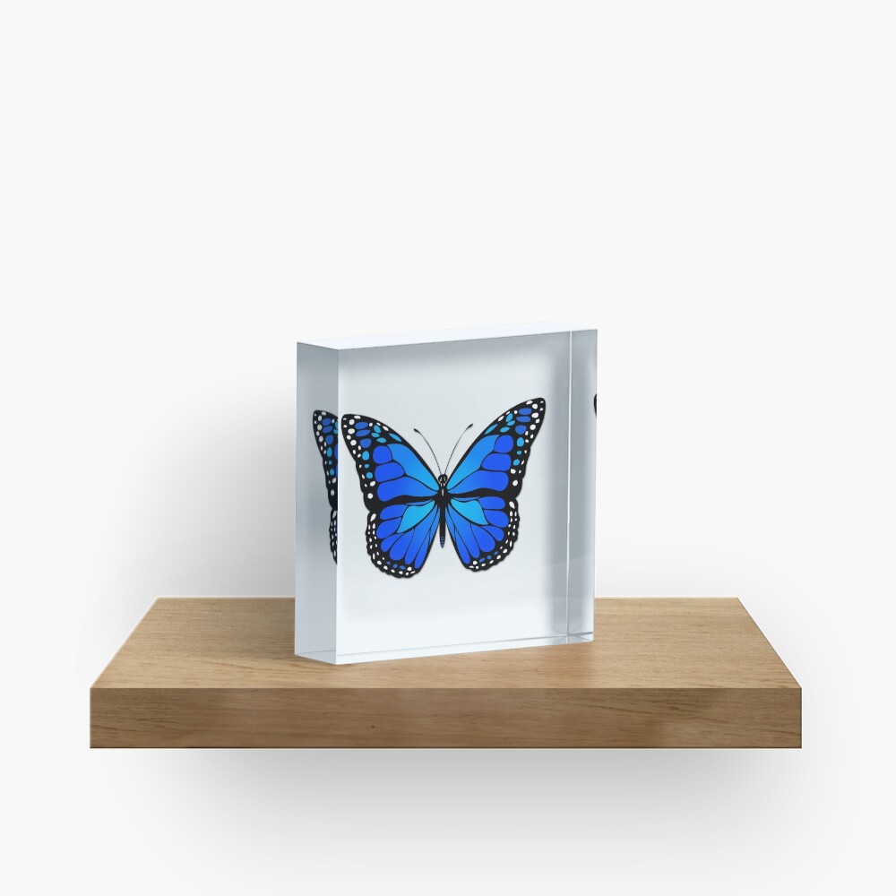 Blue butterfly Acrylic Block