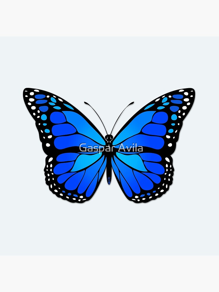 Blue butterfly by gavila