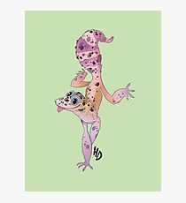 Gecko Photographic Print