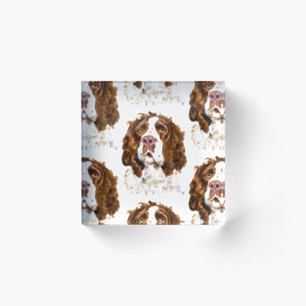 English Springer Spaniel Acrylic Block