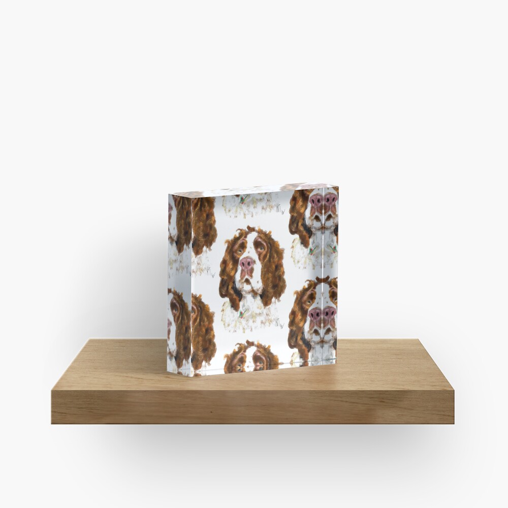 English Springer Spaniel Acrylic Block