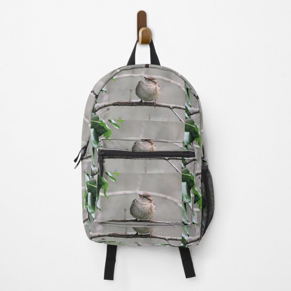 Item preview, chaffinch designed and sold by KathleenDawson.