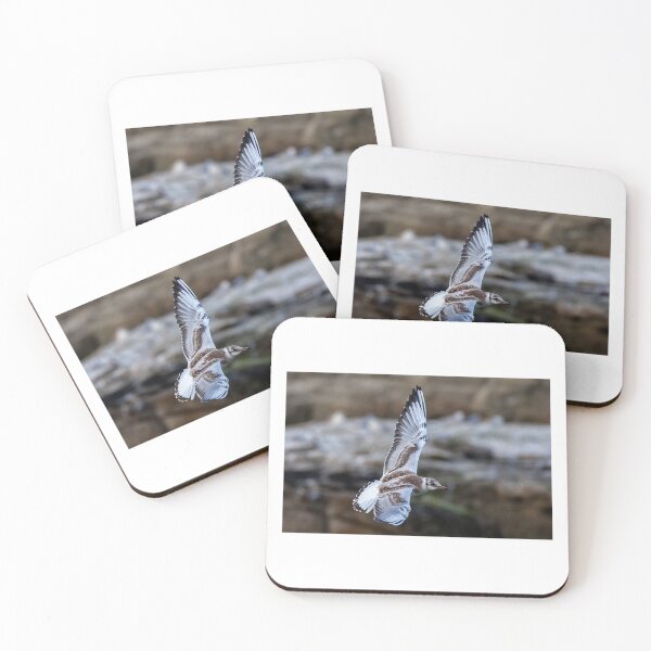 Item preview, Graceful Gull in Mid-Flight designed and sold by David Patterson.