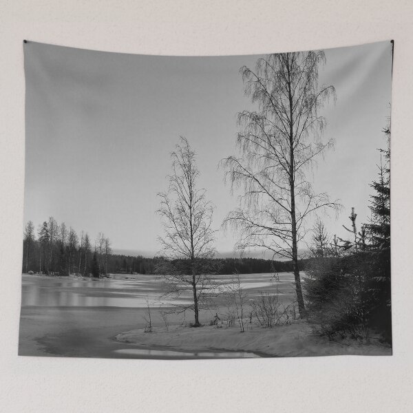 Item preview, Birches by the frozen lake 3 bw designed and sold by Jouko Lehto Photography.