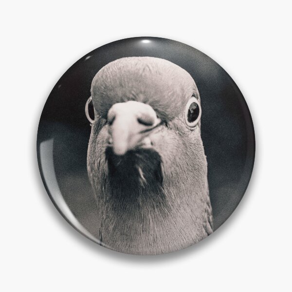 Item preview, Pidge designed and sold by ShotByTrendy.