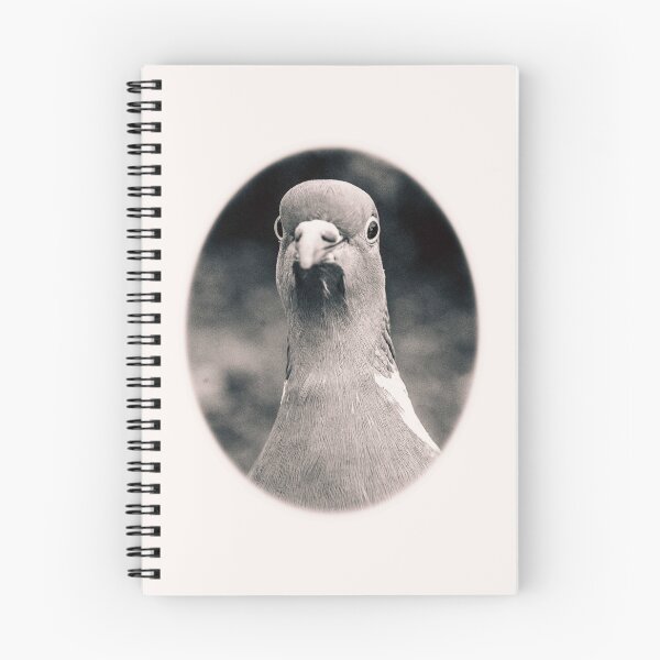 Item preview, Pidge designed and sold by ShotByTrendy.