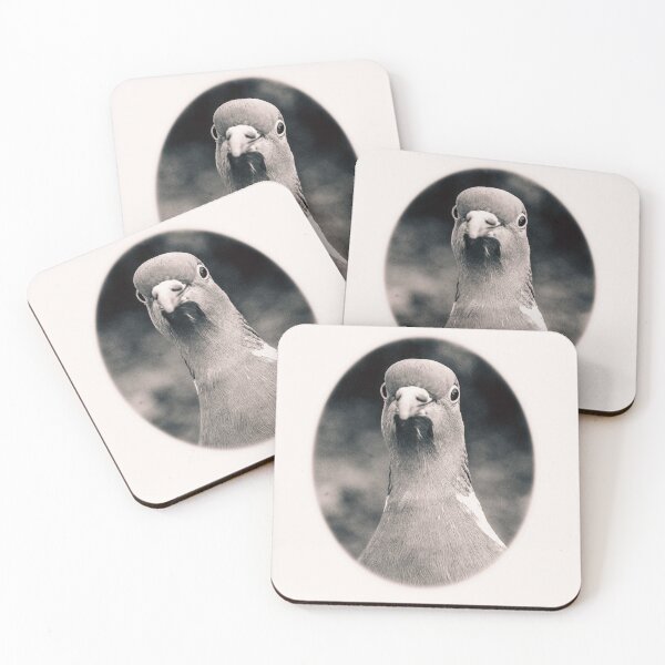 Item preview, Pidge designed and sold by ShotByTrendy.