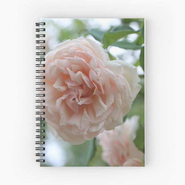 Item preview, Pink Rose designed and sold by Marije Kouyzer.
