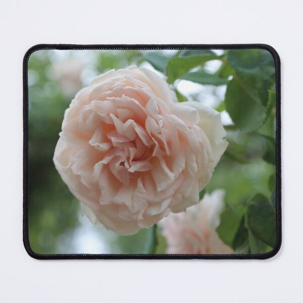 Item preview, Pink Rose designed and sold by Marije Kouyzer.
