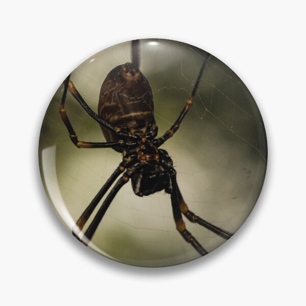 Item preview, Golden Orb Weaver - Spider of Brisbane, no.1 designed and sold by Geoff Treagus.