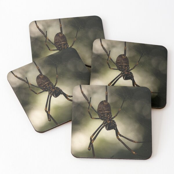 Item preview, Golden Orb Weaver - Spider of Brisbane, no.1 designed and sold by Geoff Treagus.