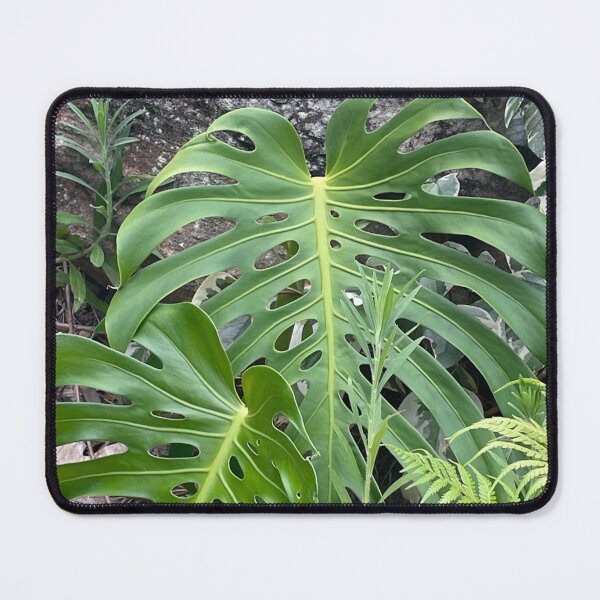 Item preview, Leaves Nature Photography designed and sold by LED Designs.
