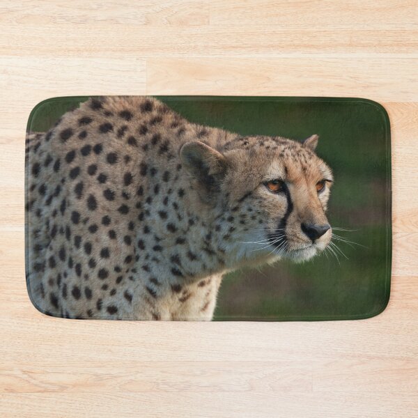Item preview, Cheetah Ready to Pounce designed and sold by rawshutterbug.