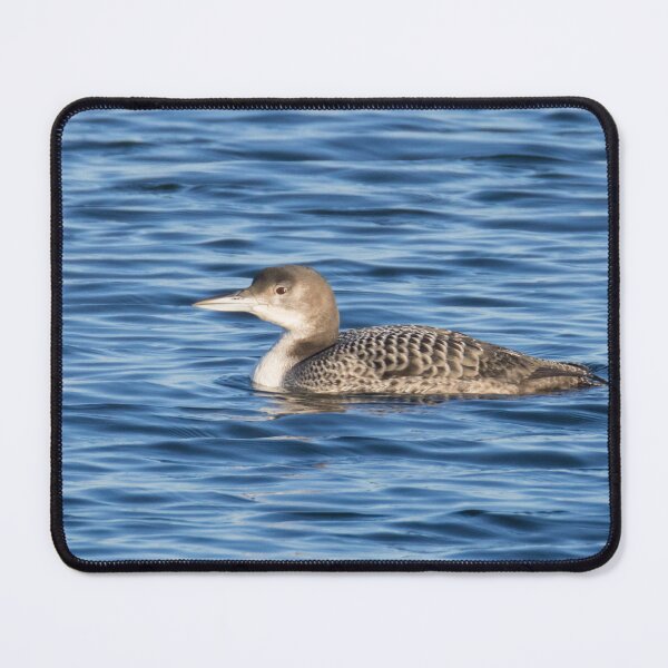 Item preview, Great Northern Diver designed and sold by LaurenTucker.
