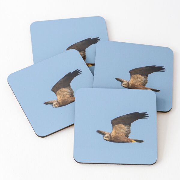 Item preview, Marsh Harrier designed and sold by LaurenTucker.