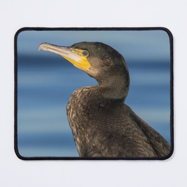 Item preview, Great Cormorant designed and sold by LaurenTucker.