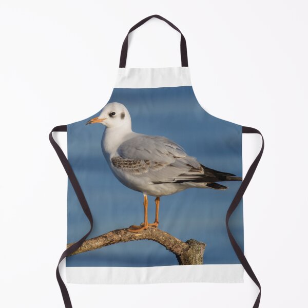 Item preview, Black Headed Gull designed and sold by LaurenTucker.