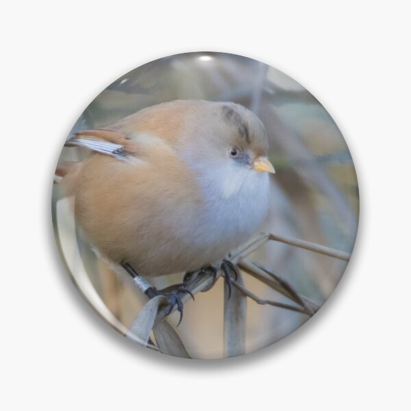 Item preview, Bearded Tit designed and sold by LaurenTucker.