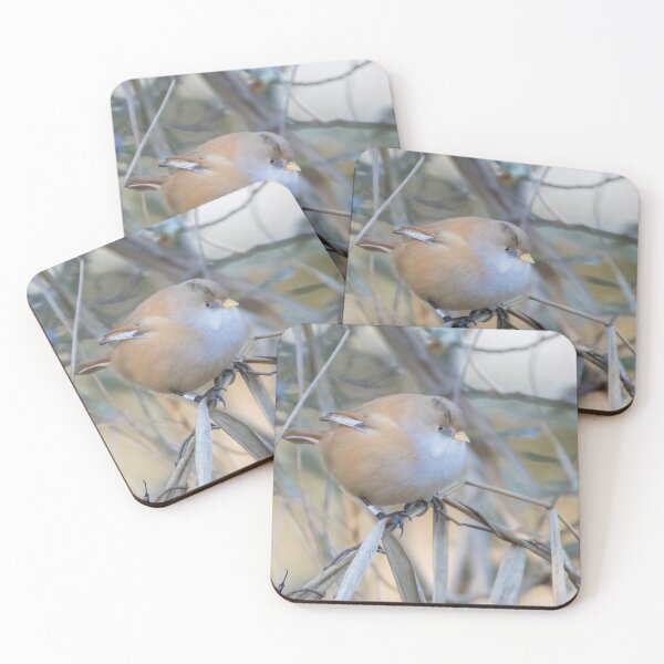 Item preview, Bearded Tit designed and sold by LaurenTucker.