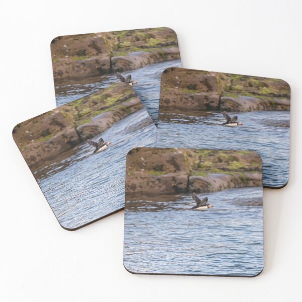 Item preview, Atlantic Puffin in Mid-Flight  Over Coastal Waters designed and sold by David Patterson.