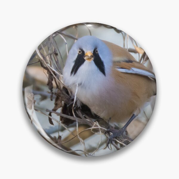 Item preview, Bearded Tit designed and sold by LaurenTucker.
