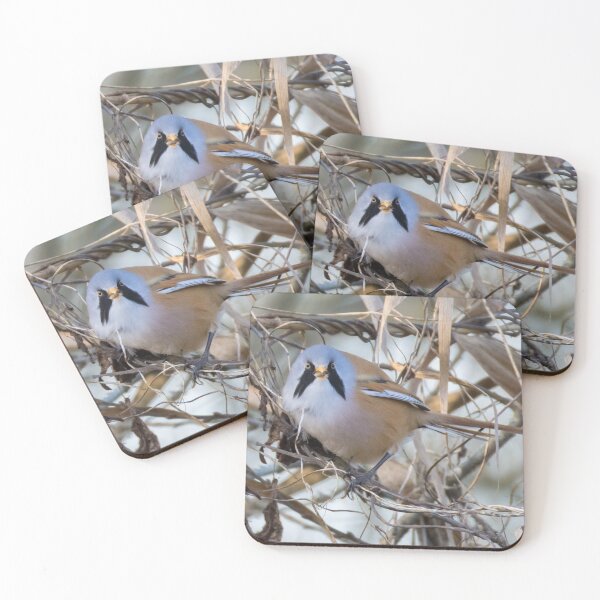 Item preview, Bearded Tit designed and sold by LaurenTucker.