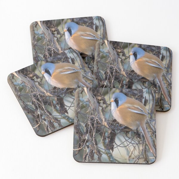 Item preview, Bearded Tit designed and sold by LaurenTucker.