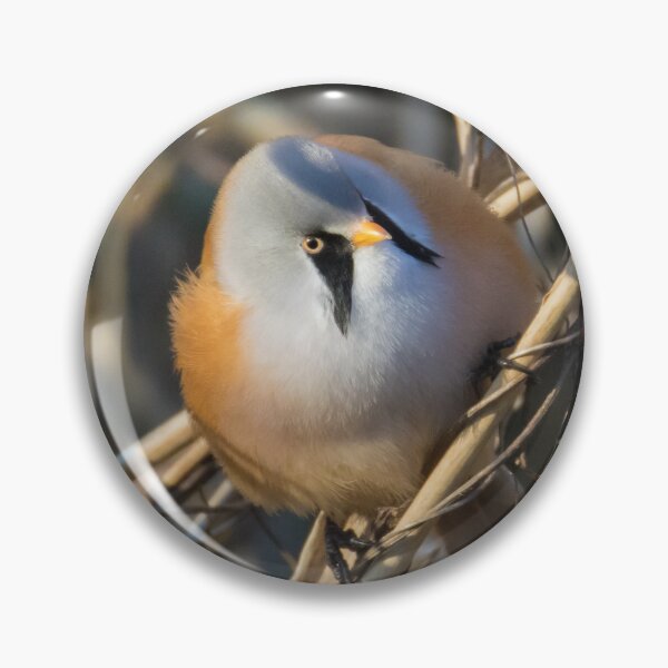 Item preview, Bearded Tit designed and sold by LaurenTucker.