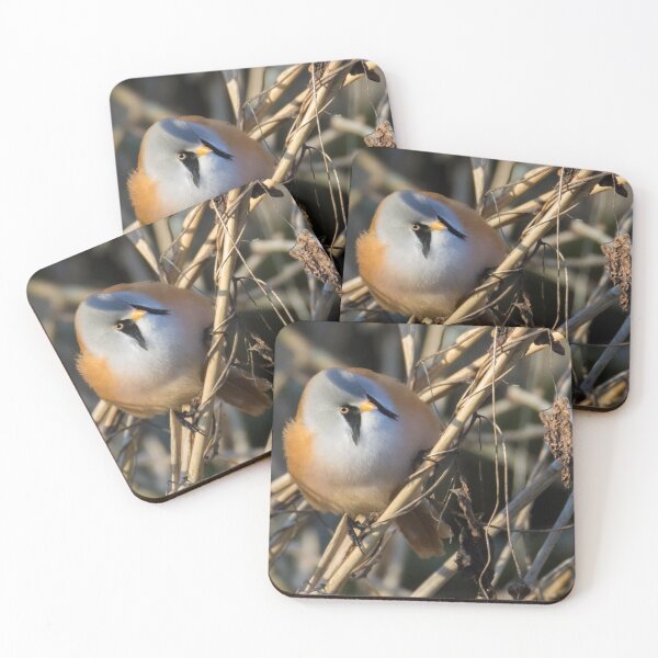 Item preview, Bearded Tit designed and sold by LaurenTucker.