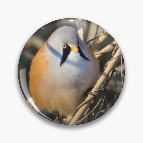 Item preview, Bearded Tit designed and sold by LaurenTucker.