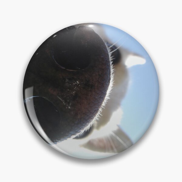 Item preview, Curious Dog - Canadian Shepherd Nose designed and sold by safish-design.