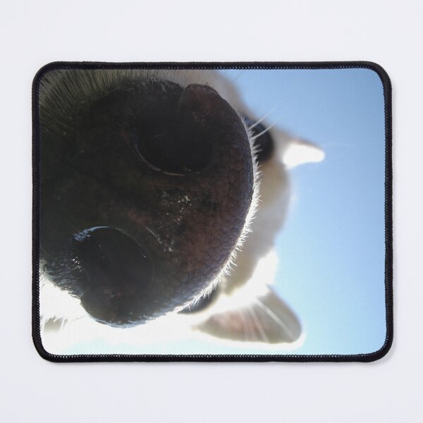 Item preview, Curious Dog - Canadian Shepherd Nose designed and sold by safish-design.