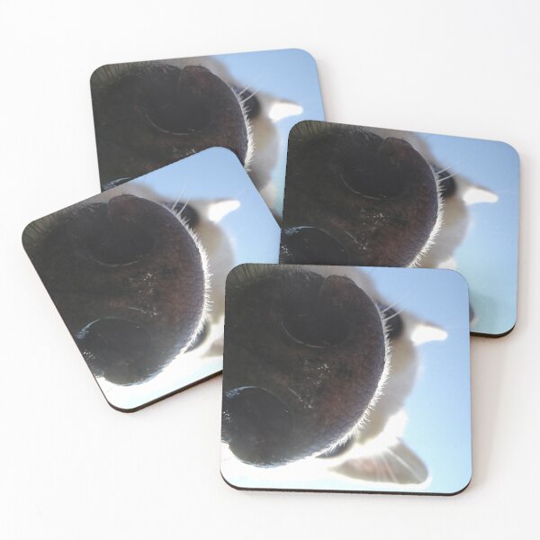 Item preview, Curious Dog - Canadian Shepherd Nose designed and sold by safish-design.