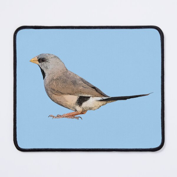 Item preview, Long-tailed Finch Color Design  designed and sold by designsasstultd.