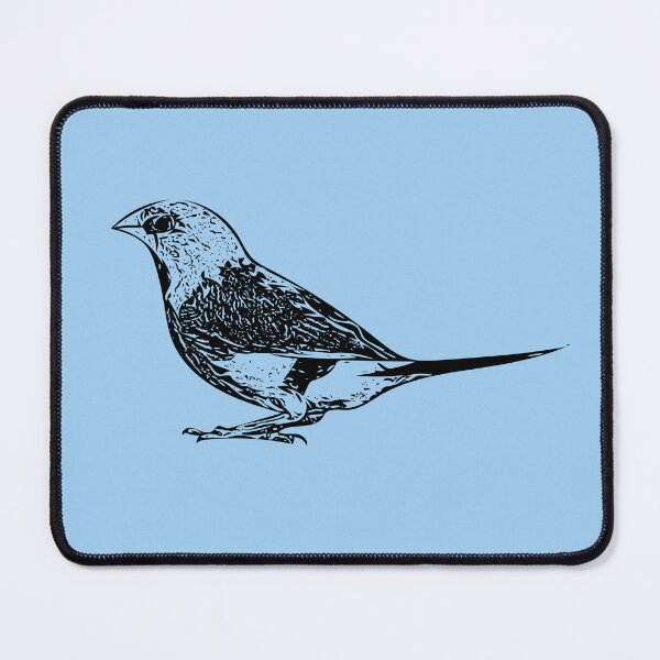 Item preview, Long-tailed Finch Black Design  designed and sold by designsasstultd.