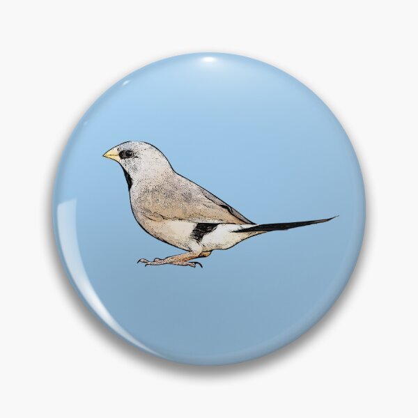 Item preview, Long-tailed Finch Black Alternate Design  designed and sold by designsasstultd.