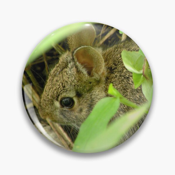 Item preview, Nebraska Wild Bunny Nature Photo designed and sold by mackngraphics.