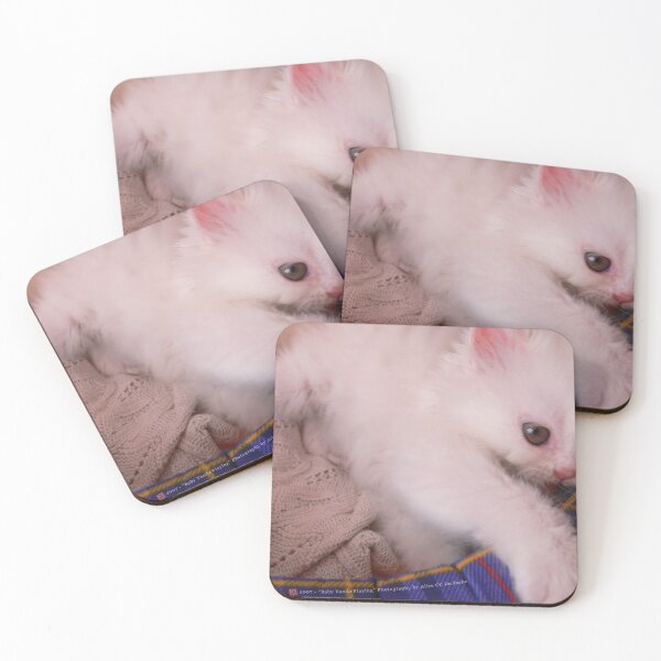 Item preview, White Persian Fluffy Baby Cat Vanda Playing (Photo by ACCI) designed and sold by VanyssaGraphics.