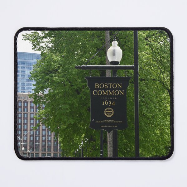 Item preview, Boston Common Sign designed and sold by BadWolfStudios.