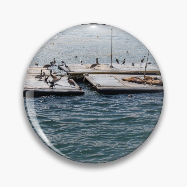 Item preview, Sea Lions and Birds at San Diego Harbor designed and sold by BadWolfStudios.