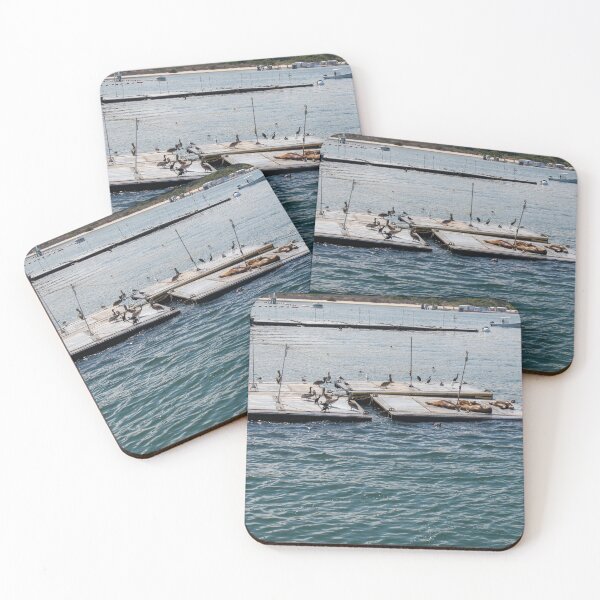 Item preview, Sea Lions and Birds at San Diego Harbor designed and sold by BadWolfStudios.