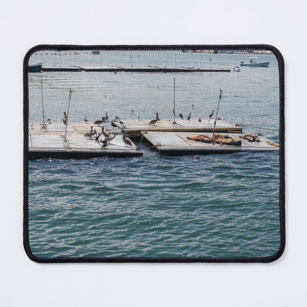 Item preview, Sea Lions and Birds at San Diego Harbor designed and sold by BadWolfStudios.