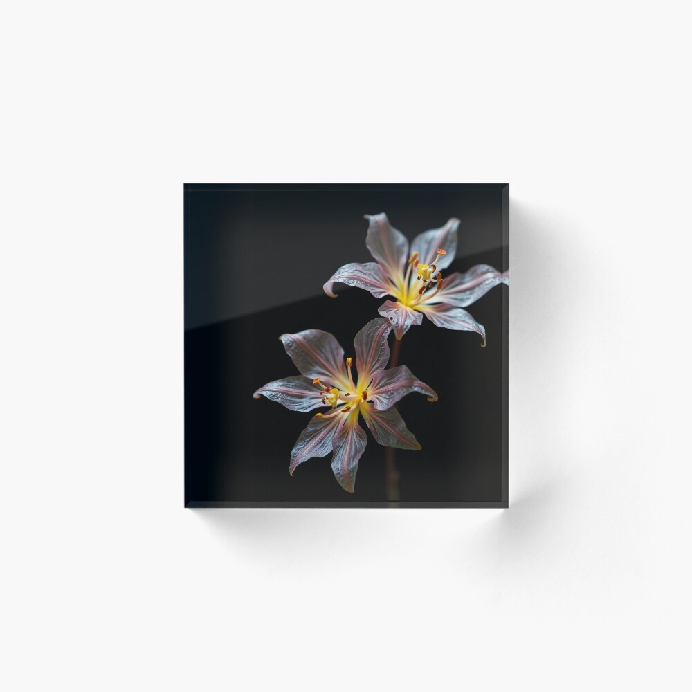 Item preview, Acrylic Block designed and sold by StudioDestruct.